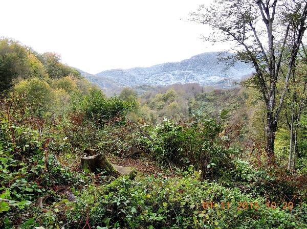 фото: npsochi.ru  📷
