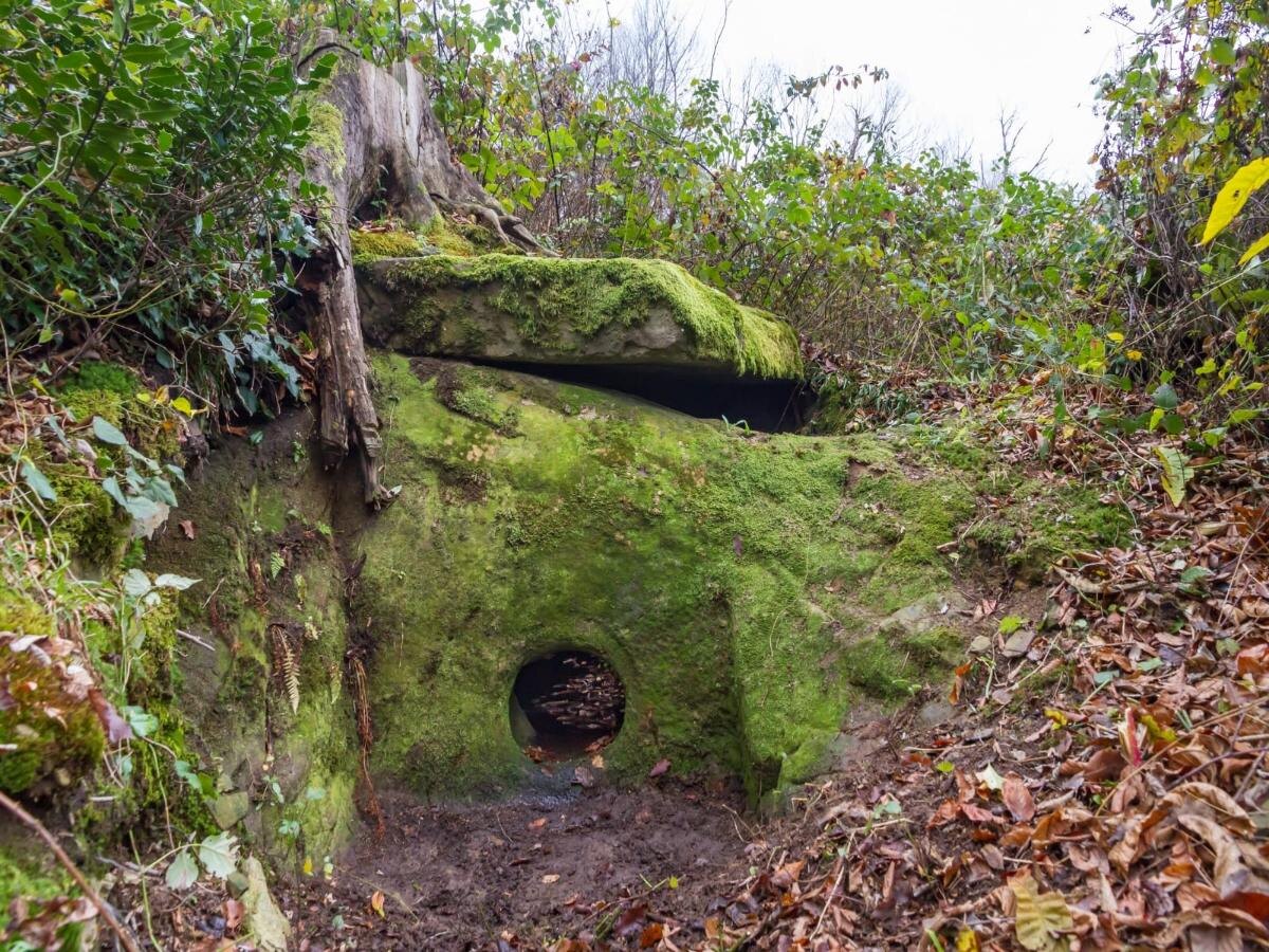 фото: npsochi.ru  📷
