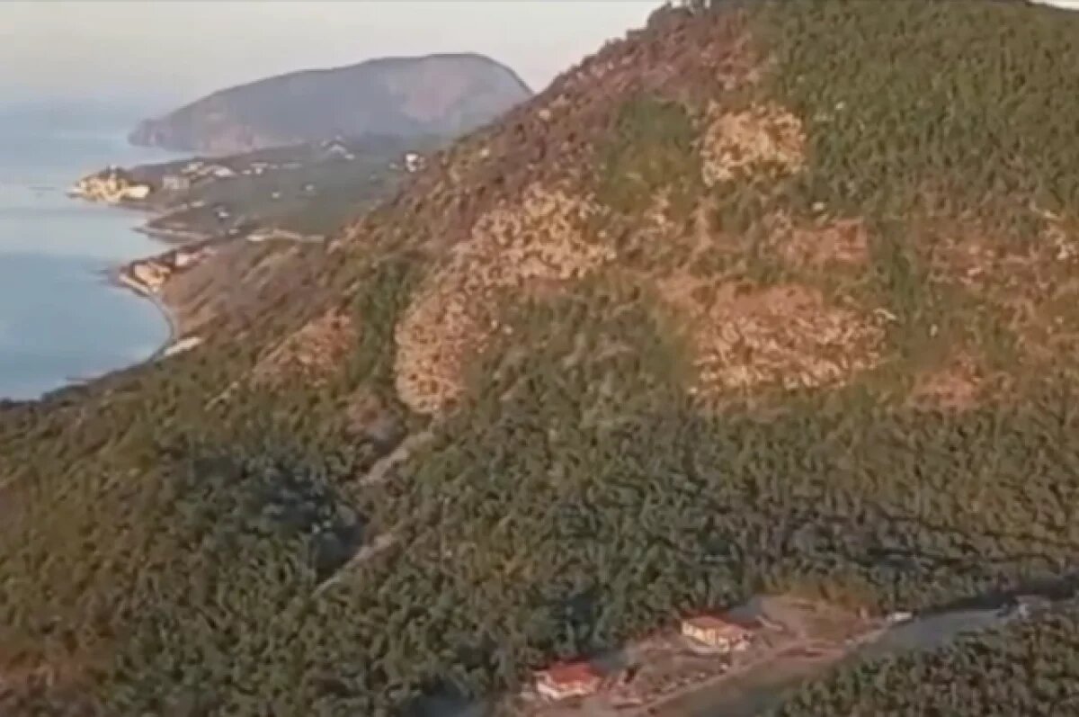    В Крыму продлено ограничение на пребывание в лесах