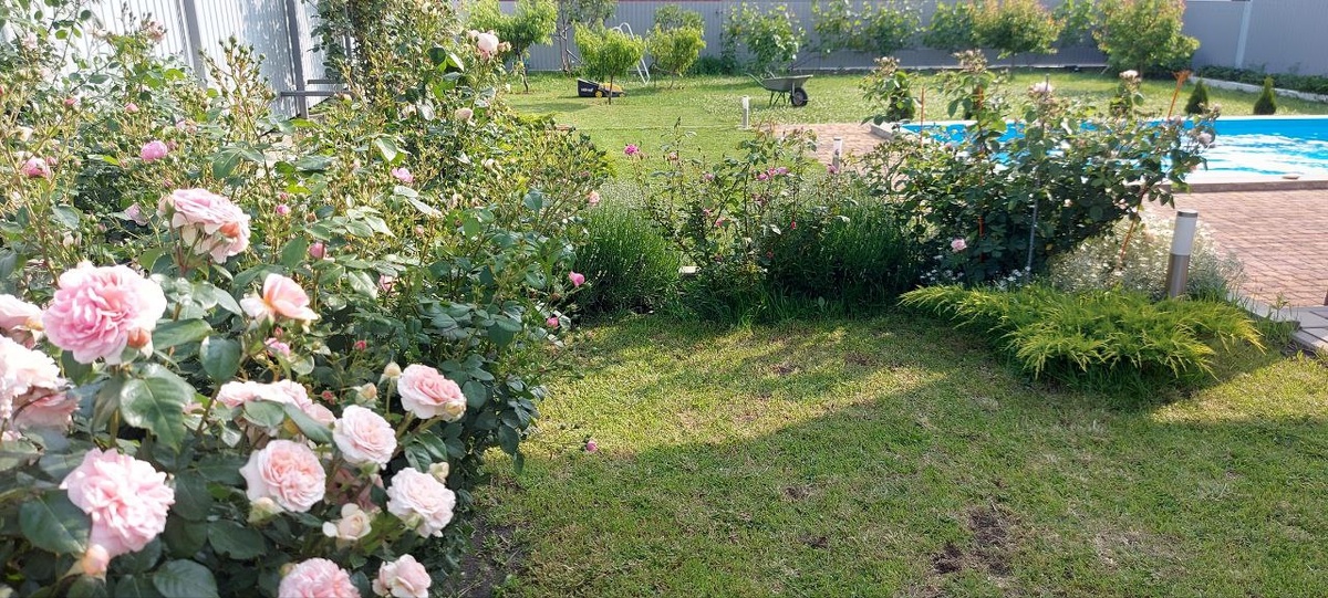 Это фото публикую не первый раз.