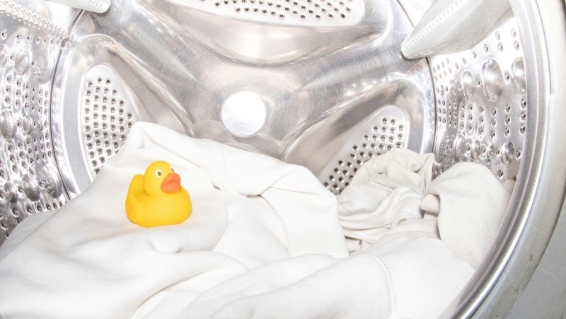      Фото: @palq / unsplash.com