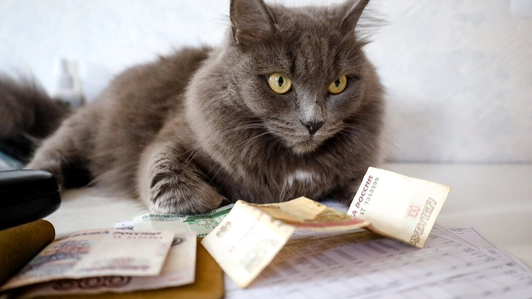    Elena Mayorova/Global Look Press