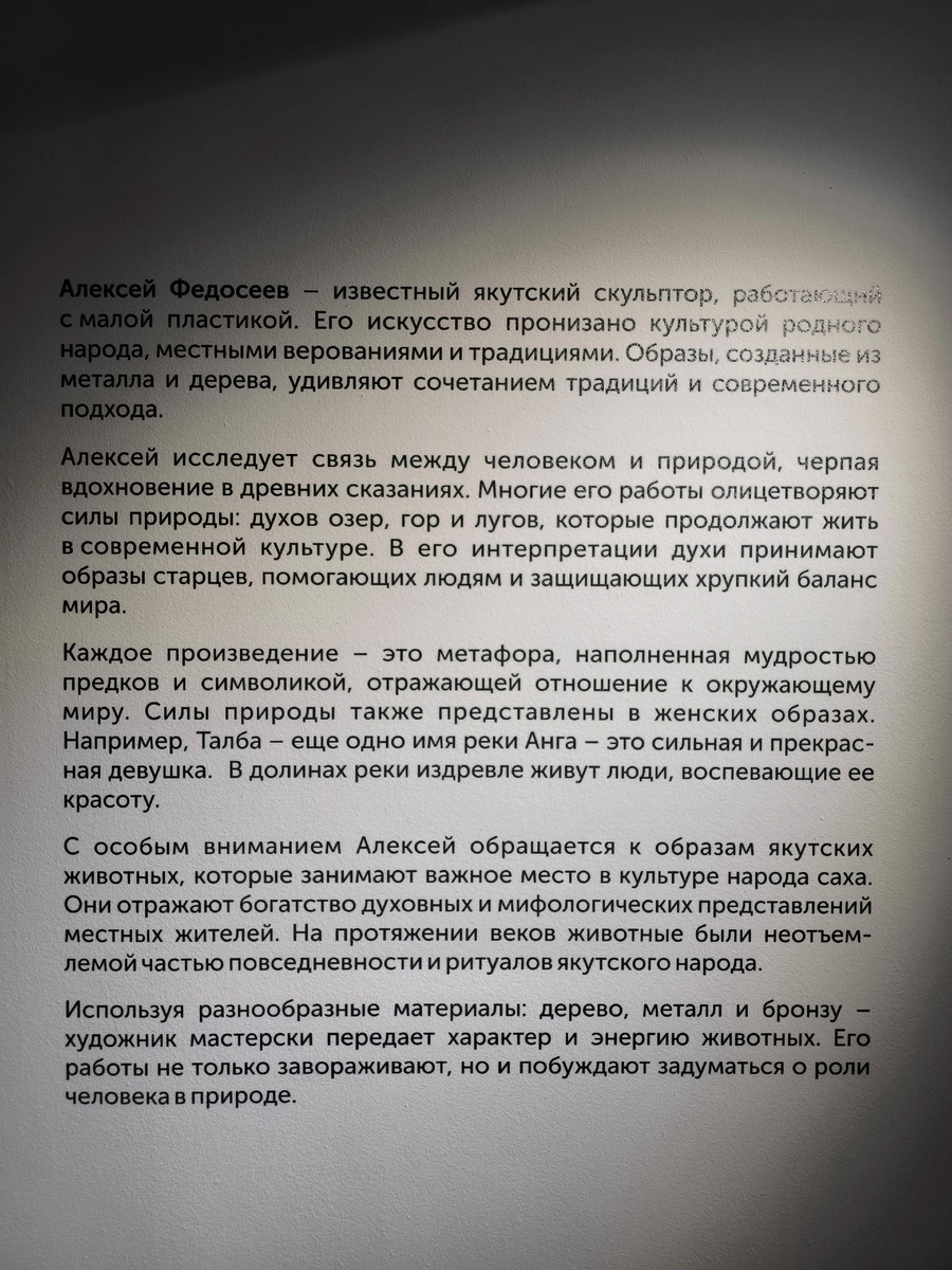 Описание выставки на стене зала (© Анна, «Маяк энерджайзера»)