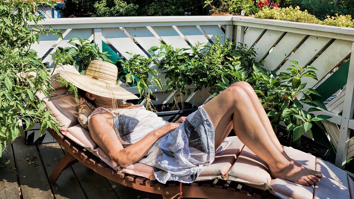    Фото: Shutterstock