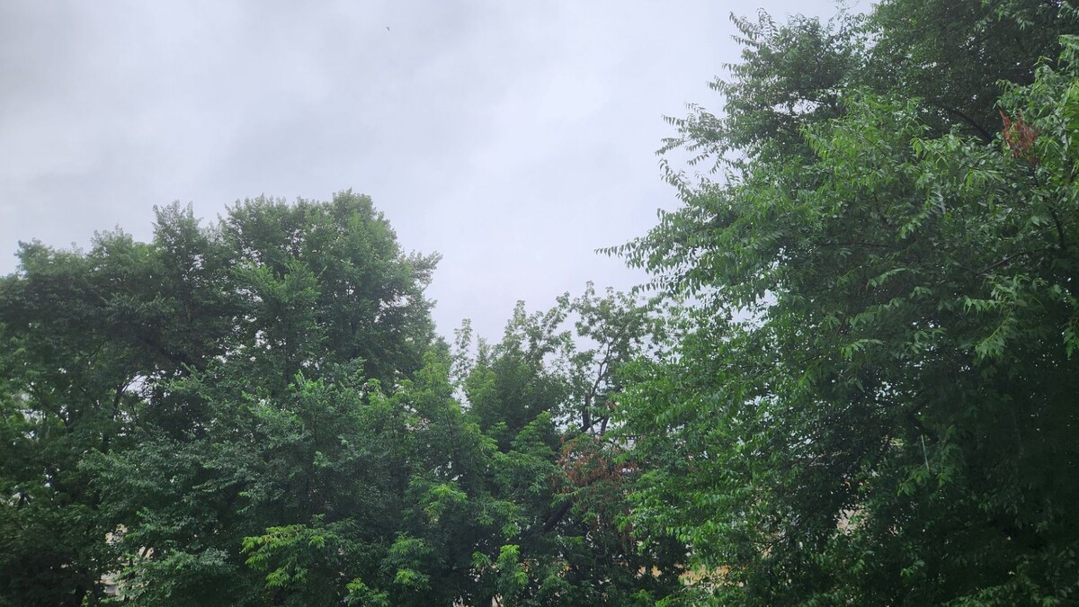     Источник: vostokmedia.com