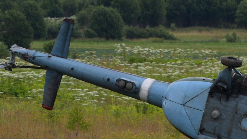    Фото: © РИА Новости/Александр Гальперин; 5-tv.ru