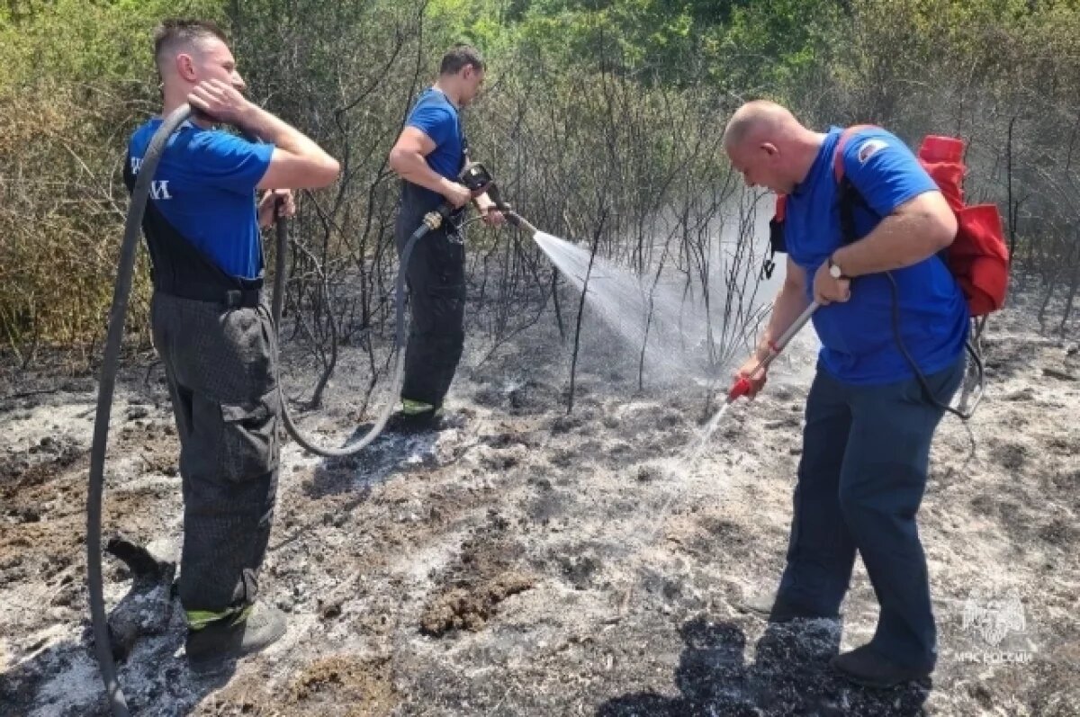    В Крыму объявлено штормовое предупреждение из-за пожарной опасности