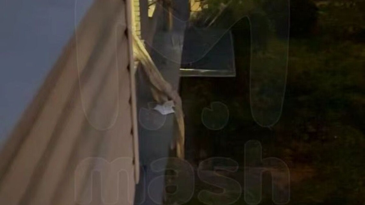    Фото: t.me/mashmoyka