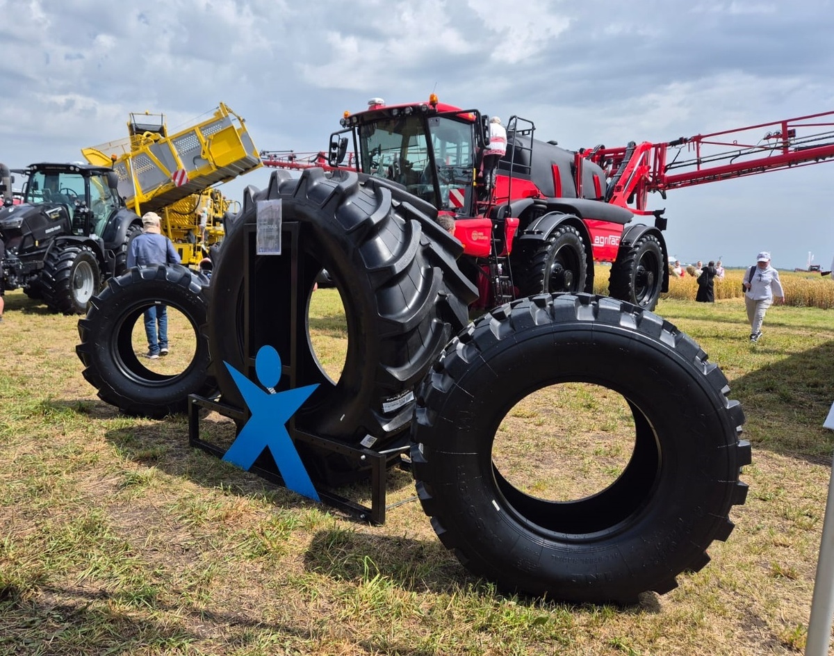 Maxam на дне брянского поля 2025