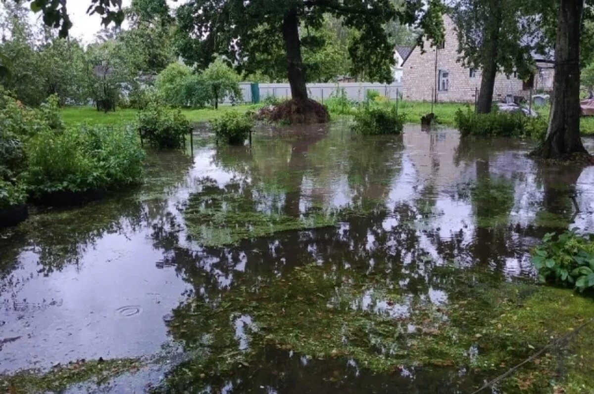    Уровень воды Утроя достиг критического в Пыталово