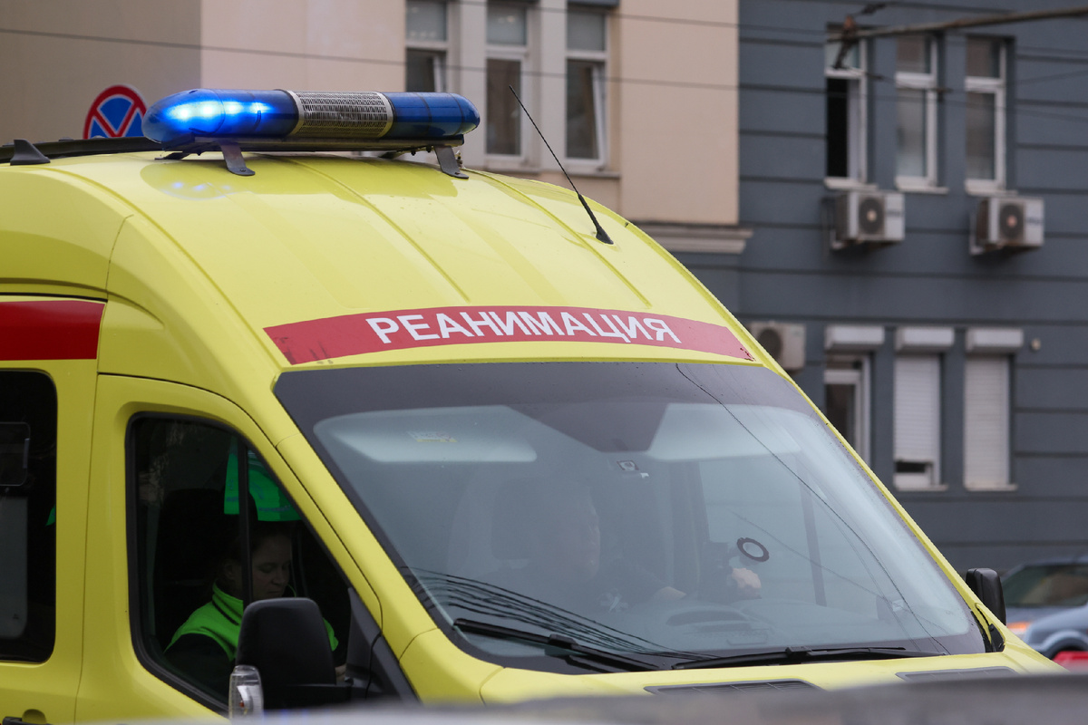 Фото: Belkin Alexey/news.ru/Globallookpress