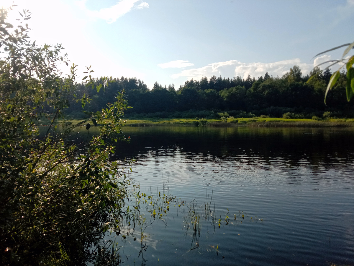 Редкие места, где можно кинуть с берега... 