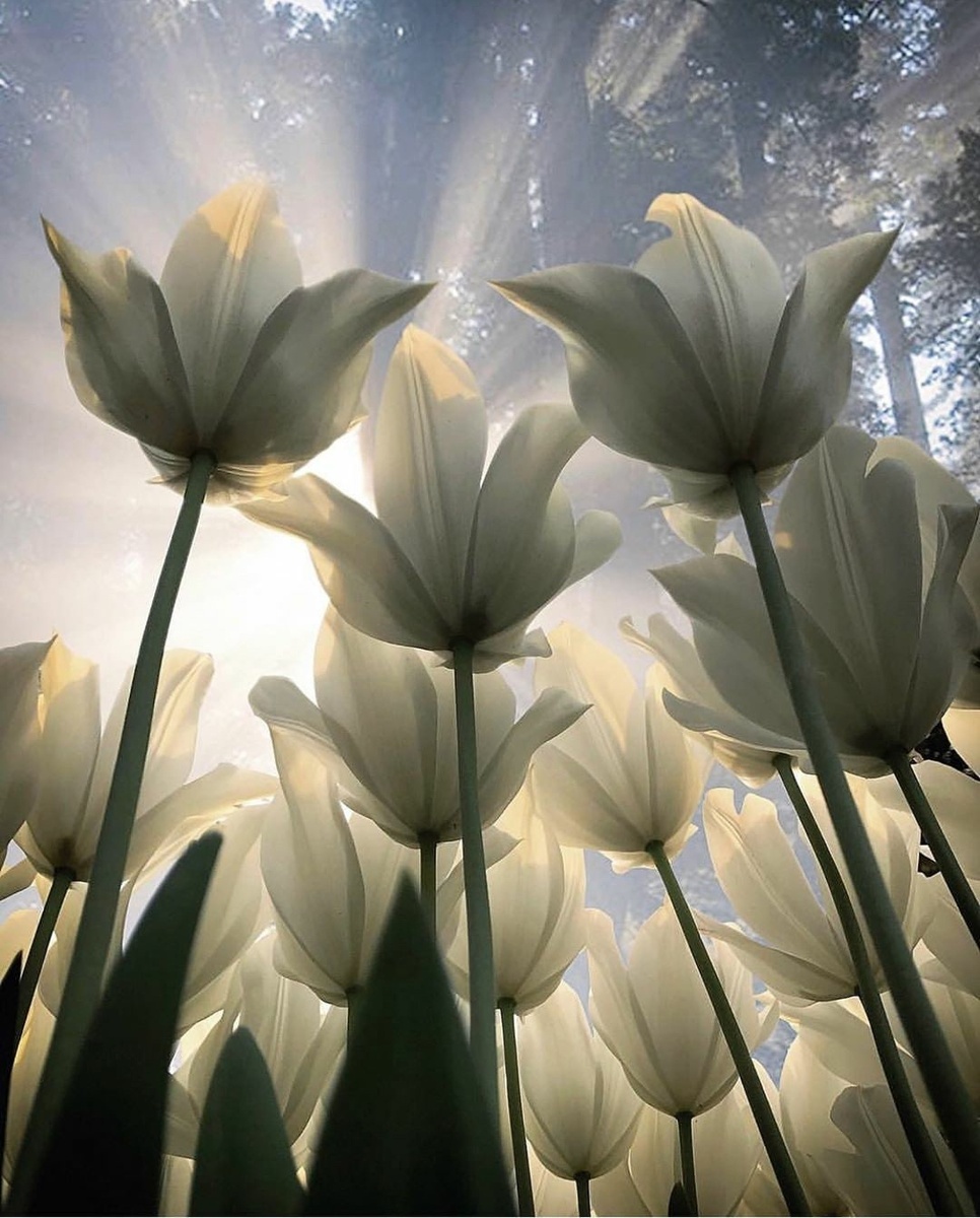 Автор фото: 📷 olayseven