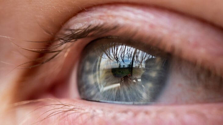    Фото: 123RF/wirestock