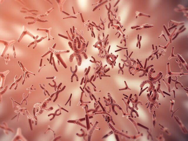    Фото: 123RF/rost9