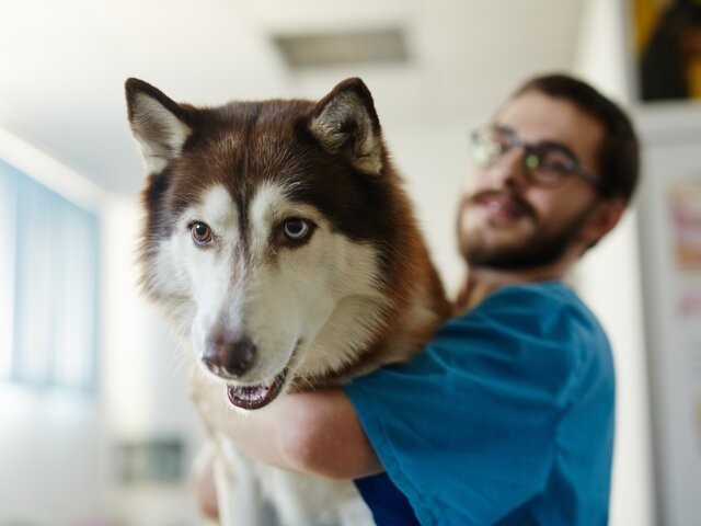    Фото: 123RF/pressmaster