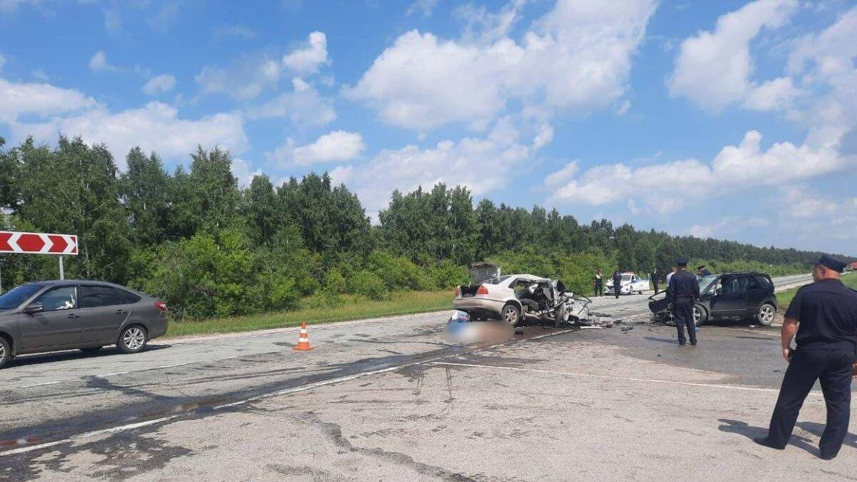    Фото: Telegram / Прокуратура Новосибирской области