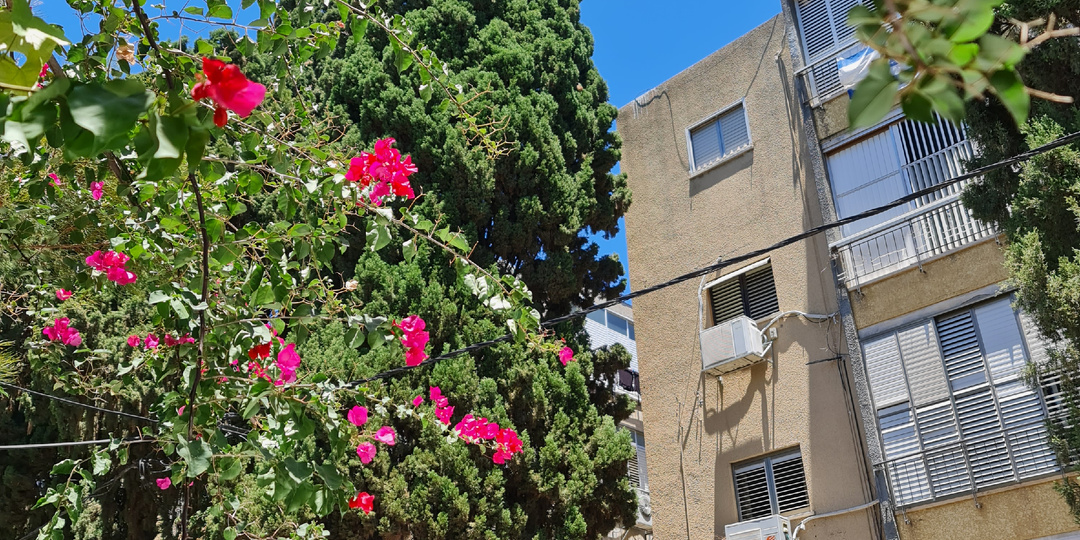 Неуловимый сахар...🤪