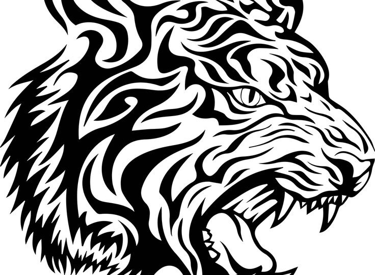 Вектор или растровая графика: почему важно знать разницу и какое приложение выбрать именно вам