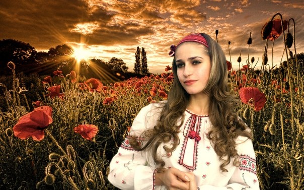 Фото из открытых источников