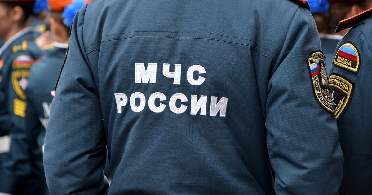 Фото: m24.ru (URL https://www.m24.ru/b/d/nBkSUhL2hFkmmsa3JL6BrNOp2Z318Ji-mifGnuWR9mOBdDebBizCnTY8qdJf6ReJ58vU9meMMok3Ee2nhSR6ISeO9G1N_wjJ=he0FUv8j0arAc3SKFjfcXg.jpg)