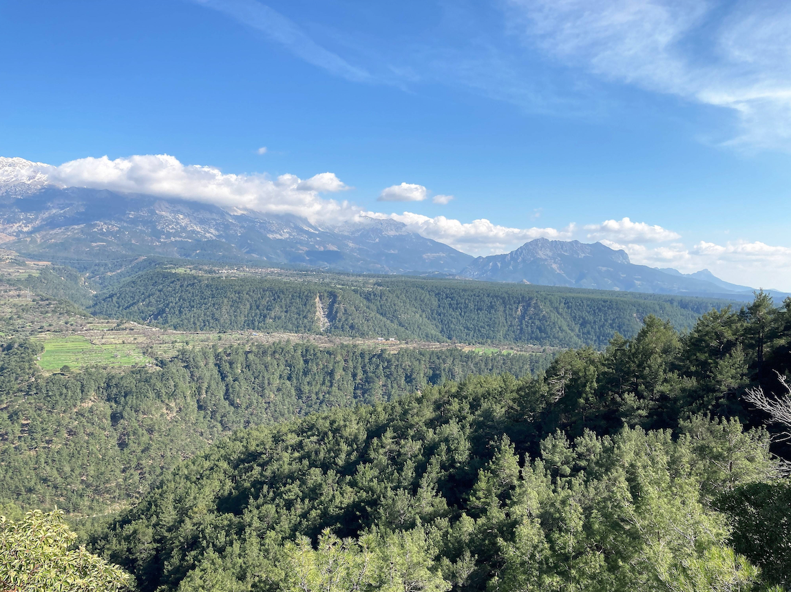 Фото: Zoonar/Imago/ТАСС