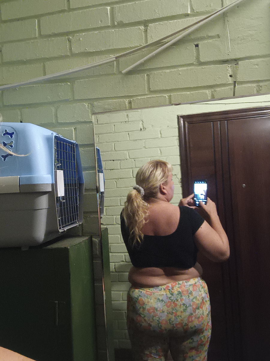 Фото жиртреста