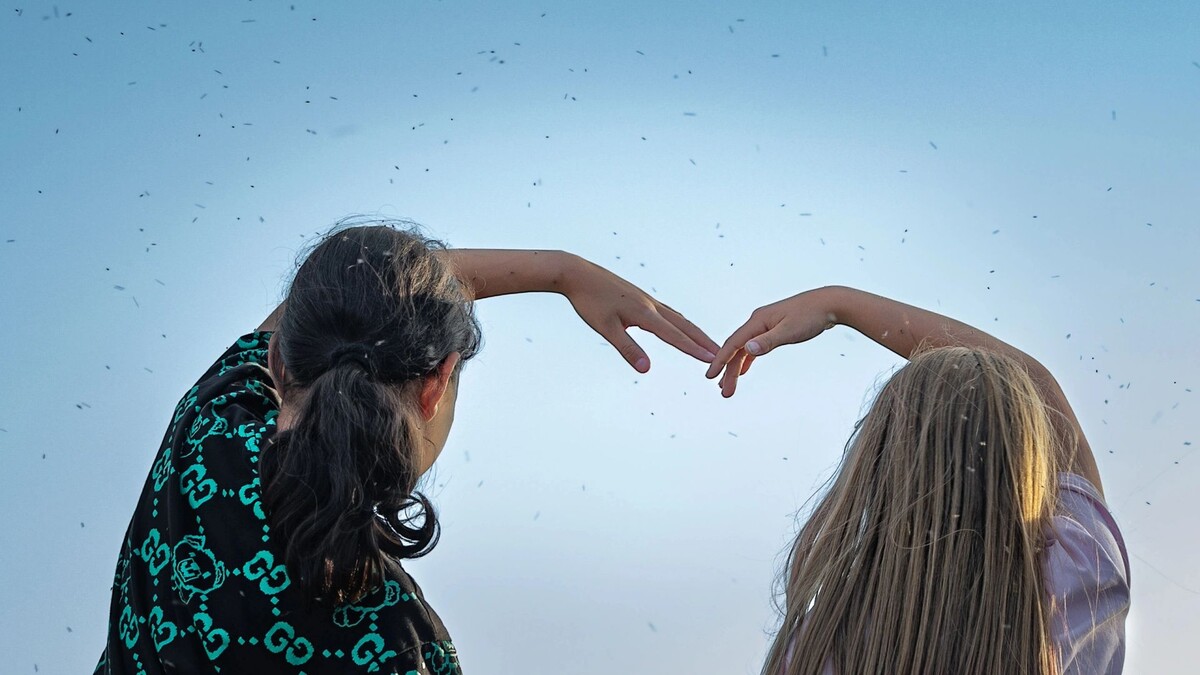    Тучи мошек могут стать проблемой для прогулок. Фото: Федор Воронов / АНО «Ямал-Медиа»