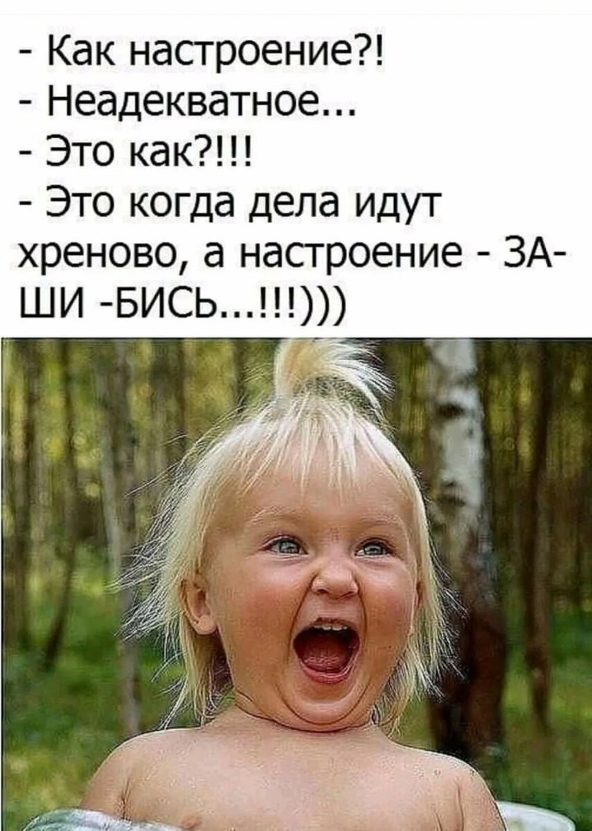 Фото взято из открытых источников интернета