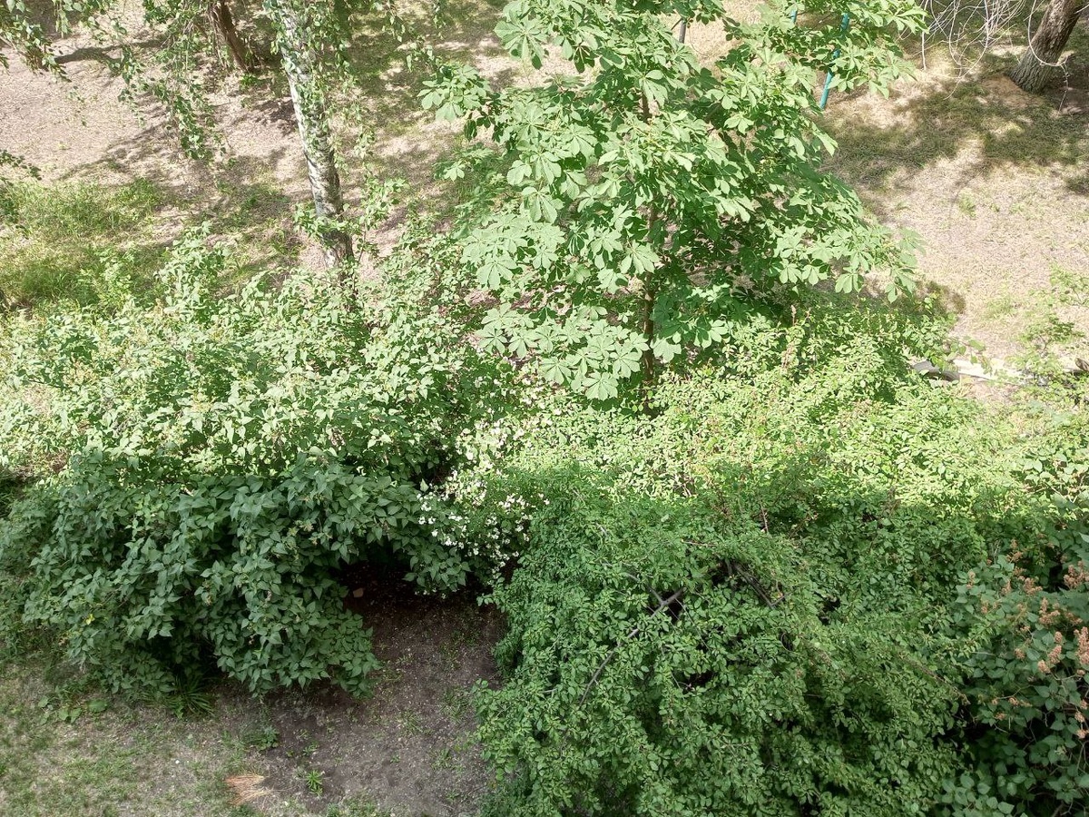 Утро. Свежесть Новый день