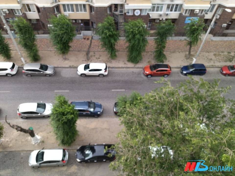    Фото: Наталья Еремеева / МТВ.ОНЛАЙН