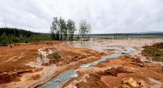    Фото: Евгений Поторочин / ФедералПресс