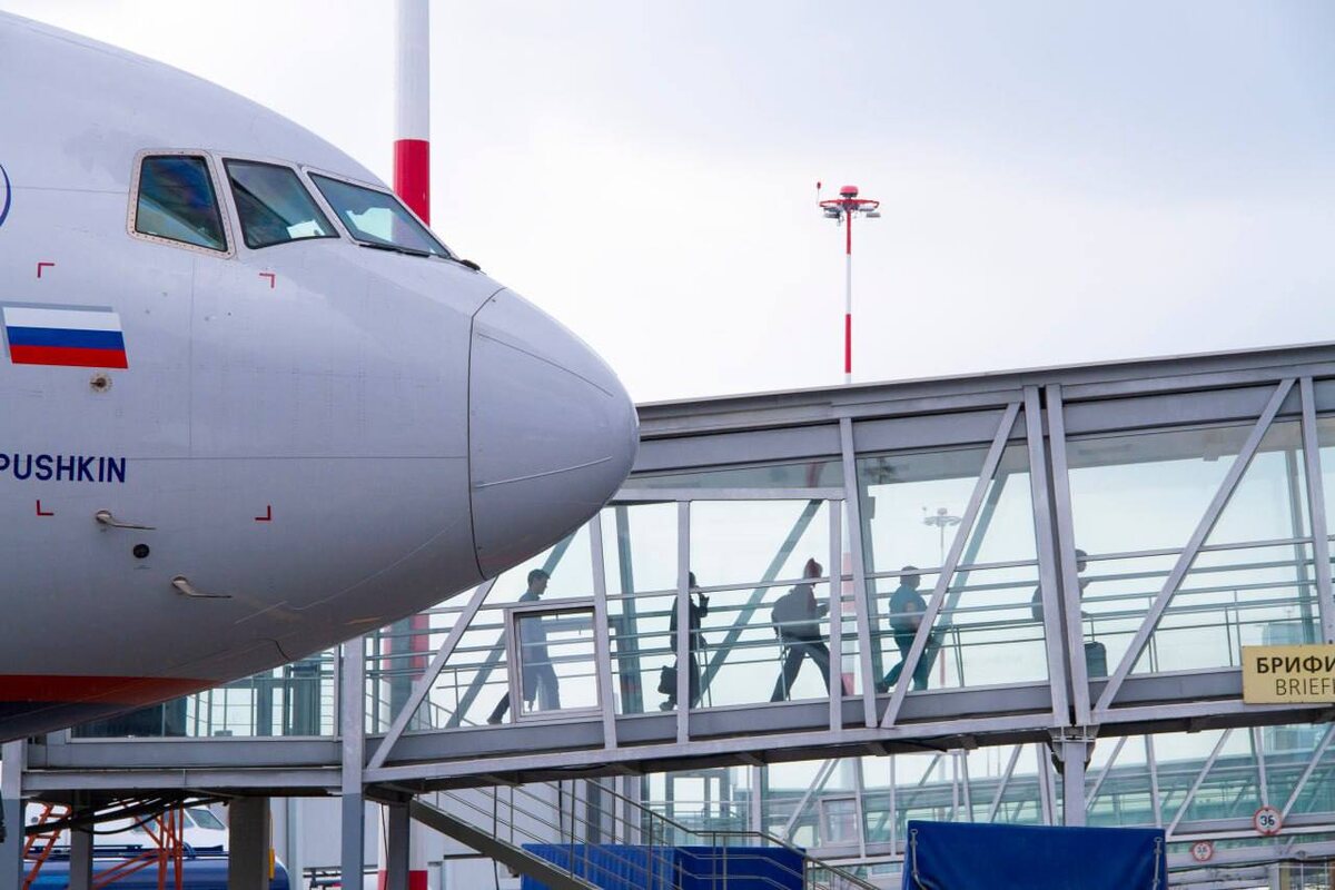 фото: Telegram/Международный аэропорт Кольцово им. А.Н.Демидова  📷
