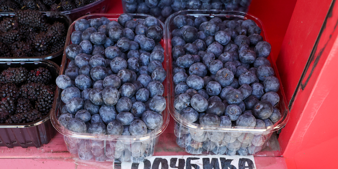 Польза и вред голубики: Ягода, которую можно есть свежей весь год