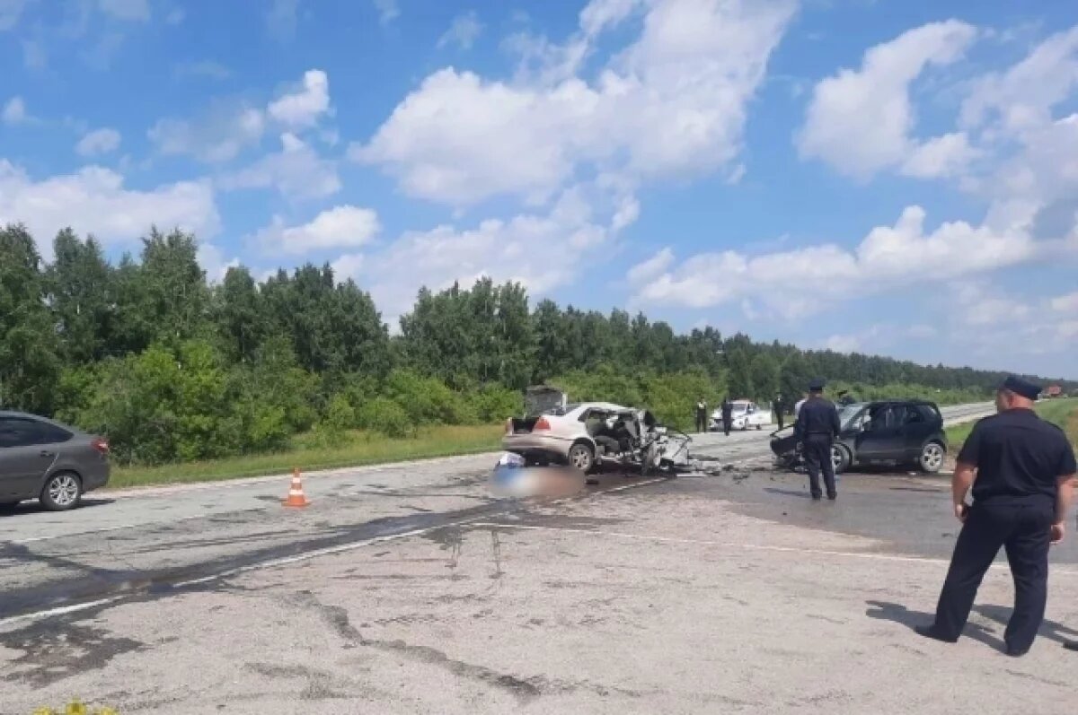    В Новосибирской области в ДТП с двумя машинами погибли семь человек