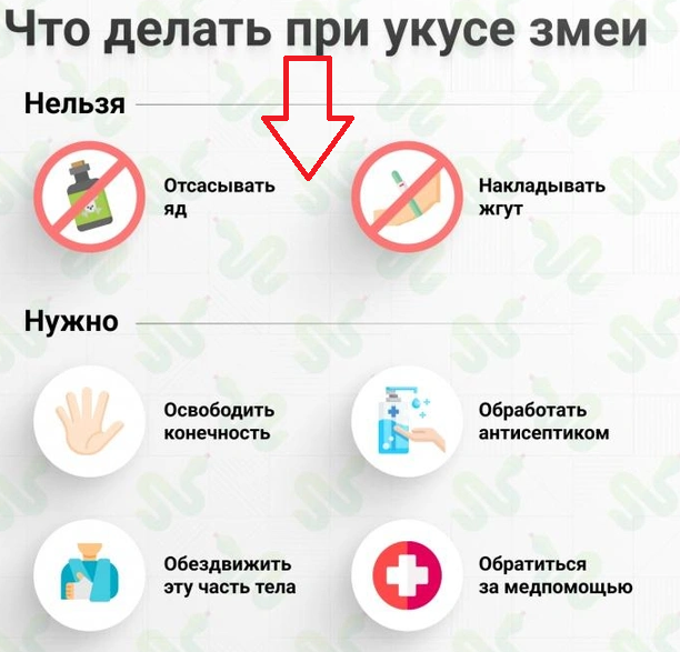 "Отойди!", "Звони 112!", "Фиксируй!", "Повязка = свободно!"