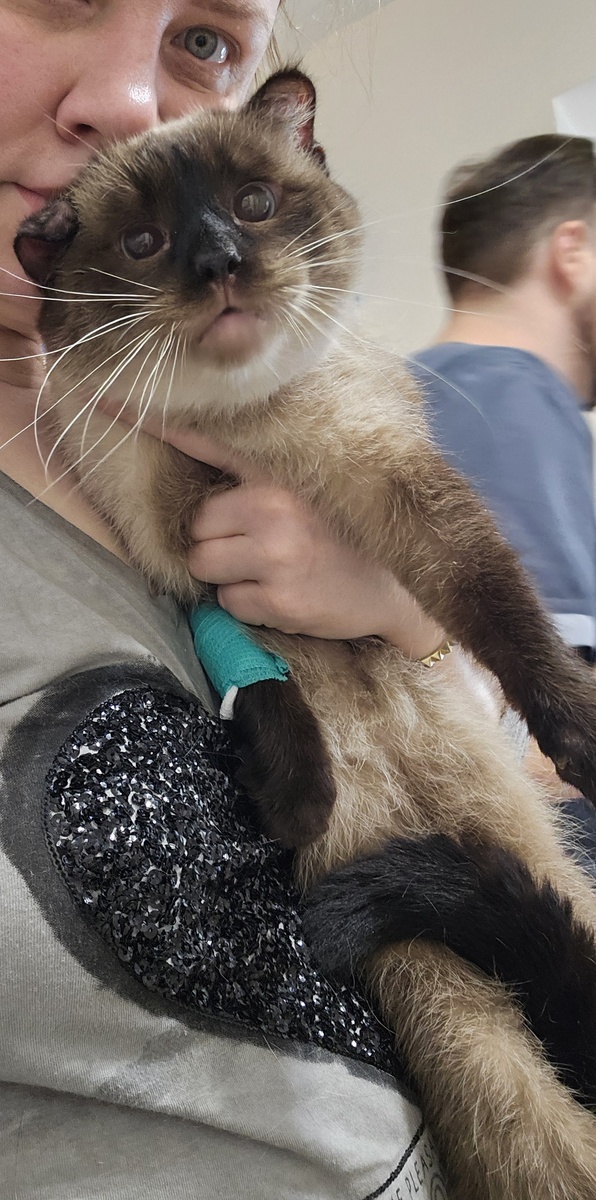 Фото автора. Ди, он болеет фип.