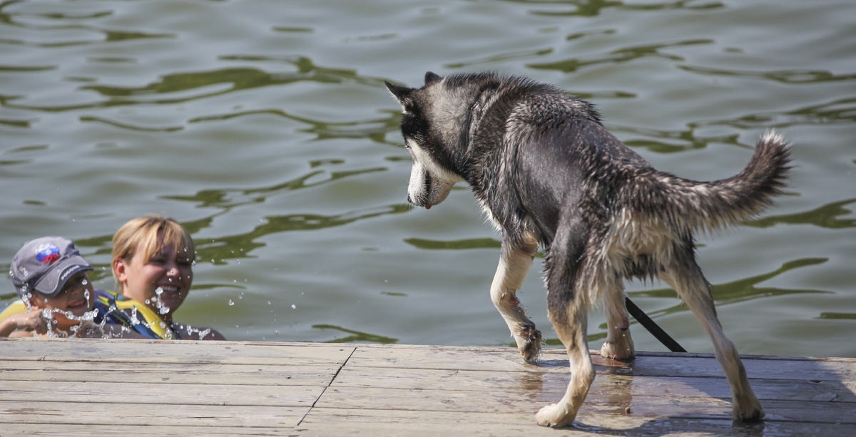 Фото: Геннадий Черкасов