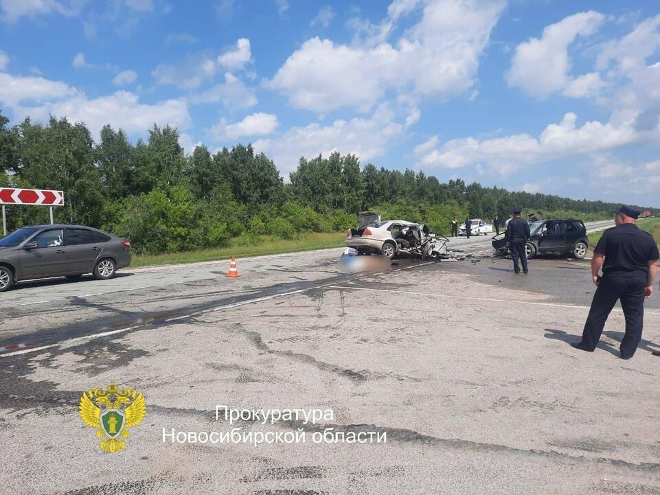     прокуратура Новосибирской области / Telegram