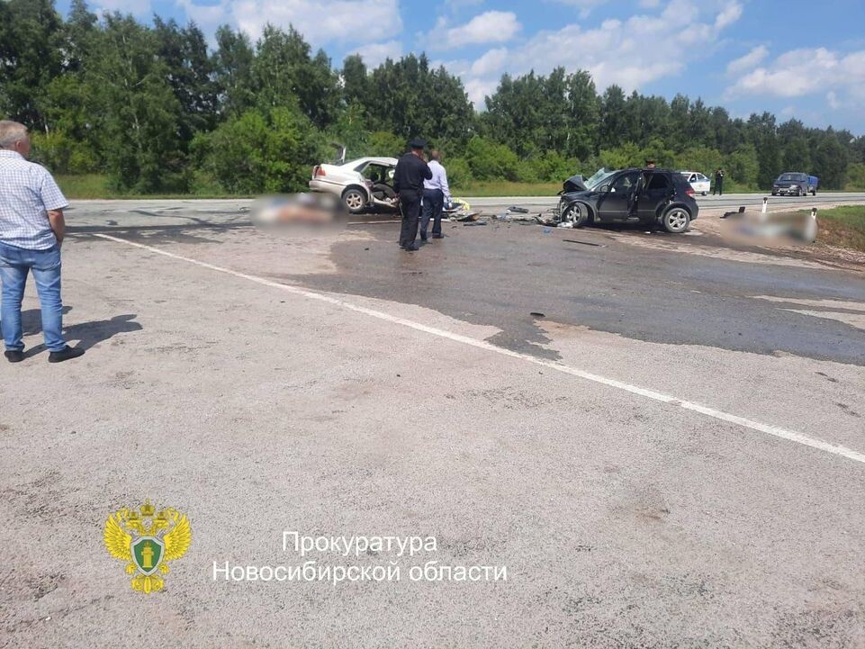     прокуратура Новосибирской области / Telegram