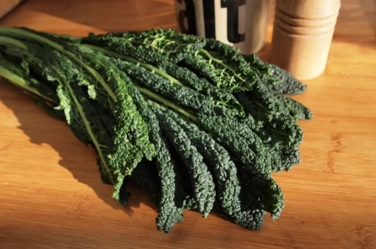    Агроном Михайлова рассказала, чем полезна и опасна капуста кале