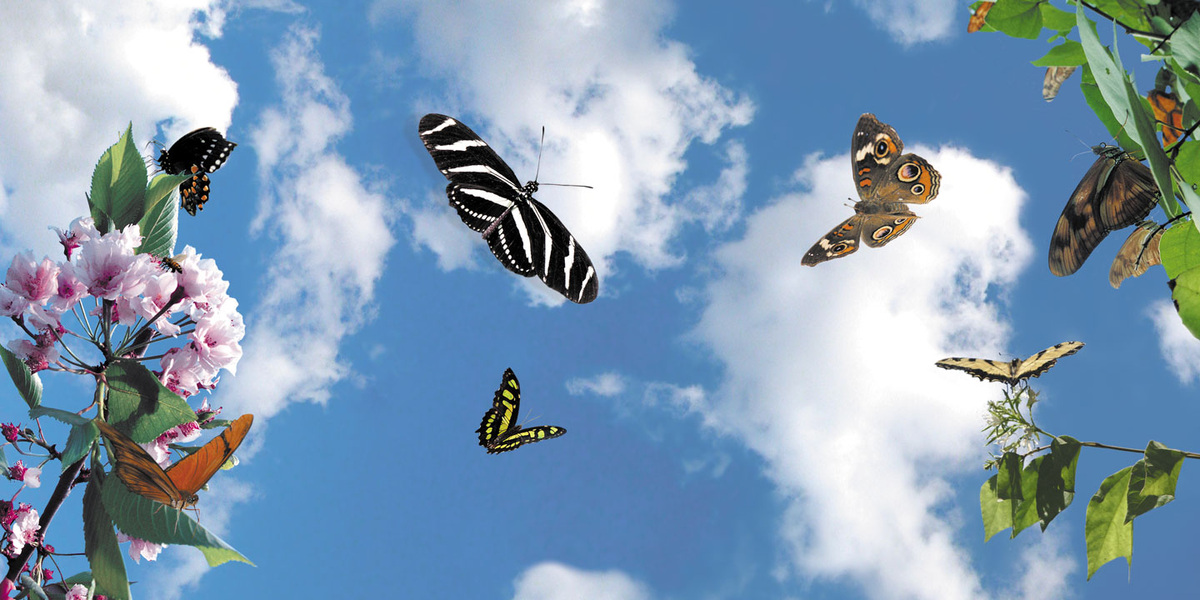 Картинка из сети интернет, спасибо автору.