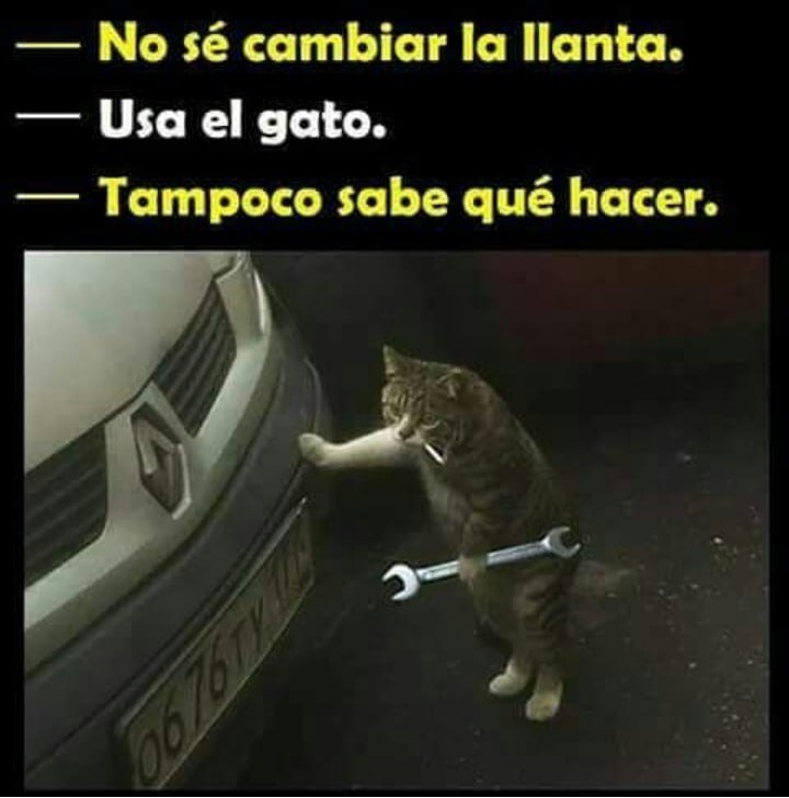 Перевод:
- Я не знаю, как менять колесо.
- Используй домкрат (gato = кот)
- Он (кот) тоже не знает, что делать