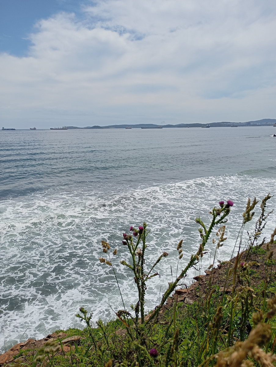 Японское море. Фото автора.