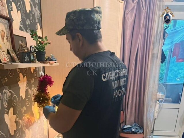    Фото: телеграм-канал "Столичный СК"