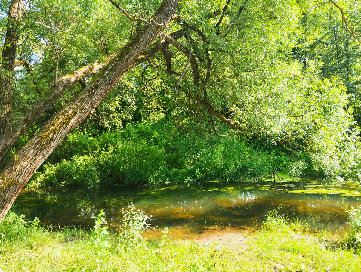 МО, город Химки, микрорайон Сходня, квартал Усково. ЗДЕСЬ и далее фото автора и(или) из личного архива автора, если не указано иначе.