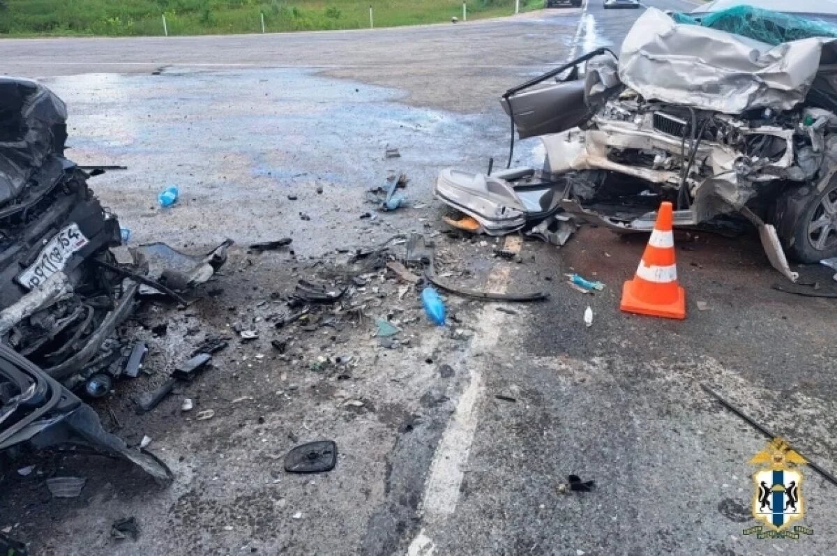    СК возбудил дело после ДТП, где погибли 7 человек под Новосибирском