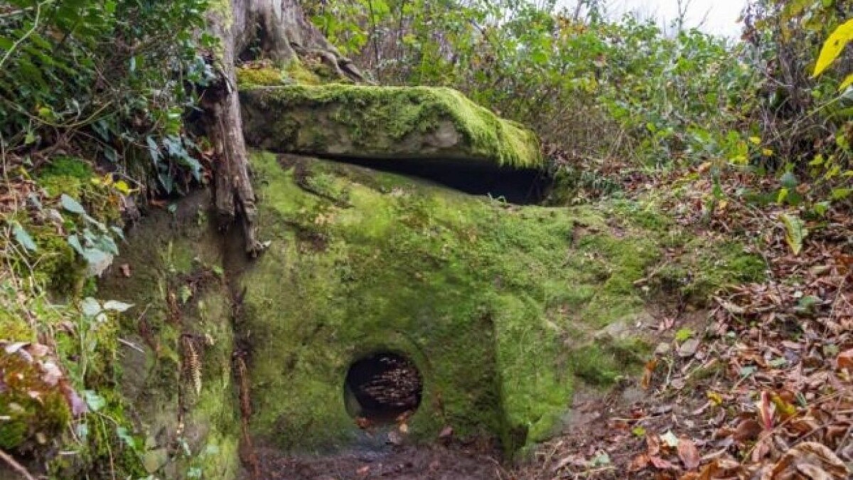    Фото: ФГБУ Сочинский национальный парк