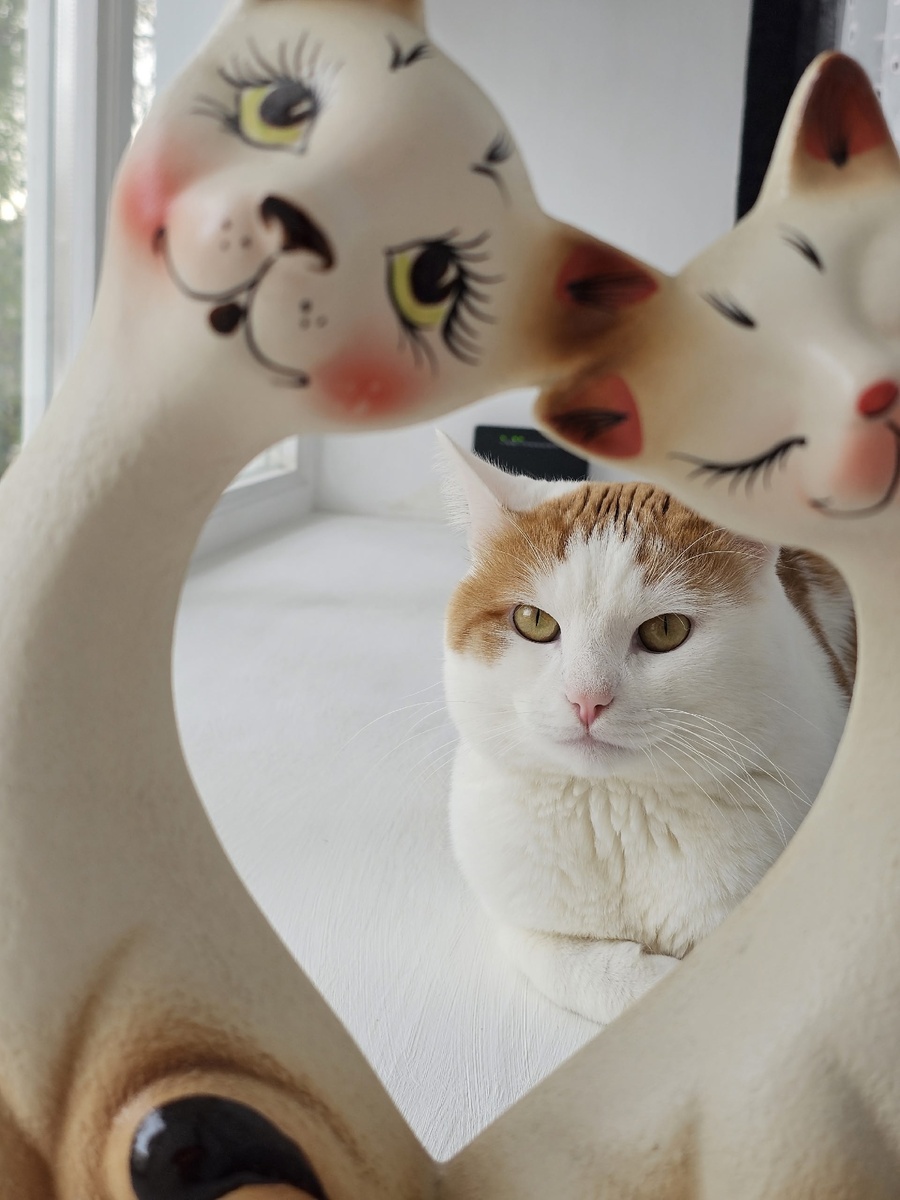 Красавчик, не правда ли?)