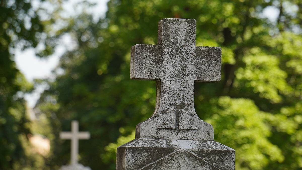    Фото: Анатолий Цымбалюк / Вечерняя Москва